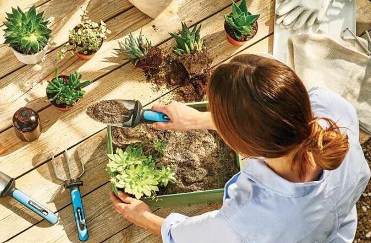 Nhập dụng cụ làm vườn trung quốc