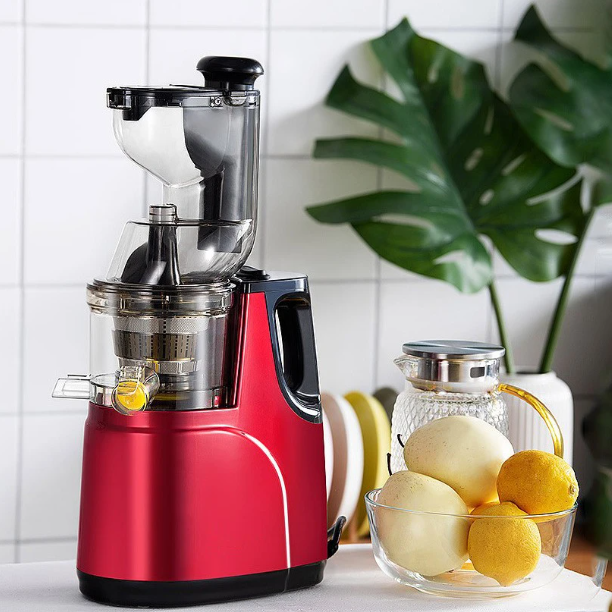 Nhập Máy ép chậm trung quốc